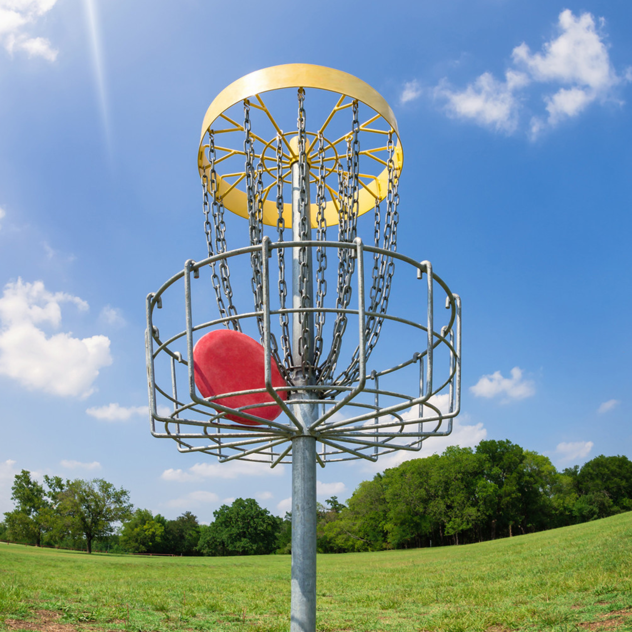 DISC GOLF