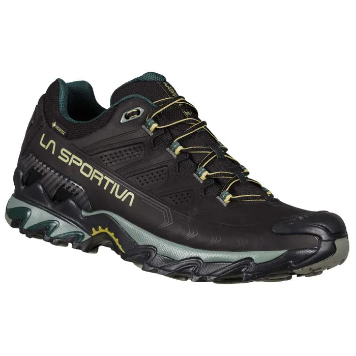Ultra Raptor II Leather GTX