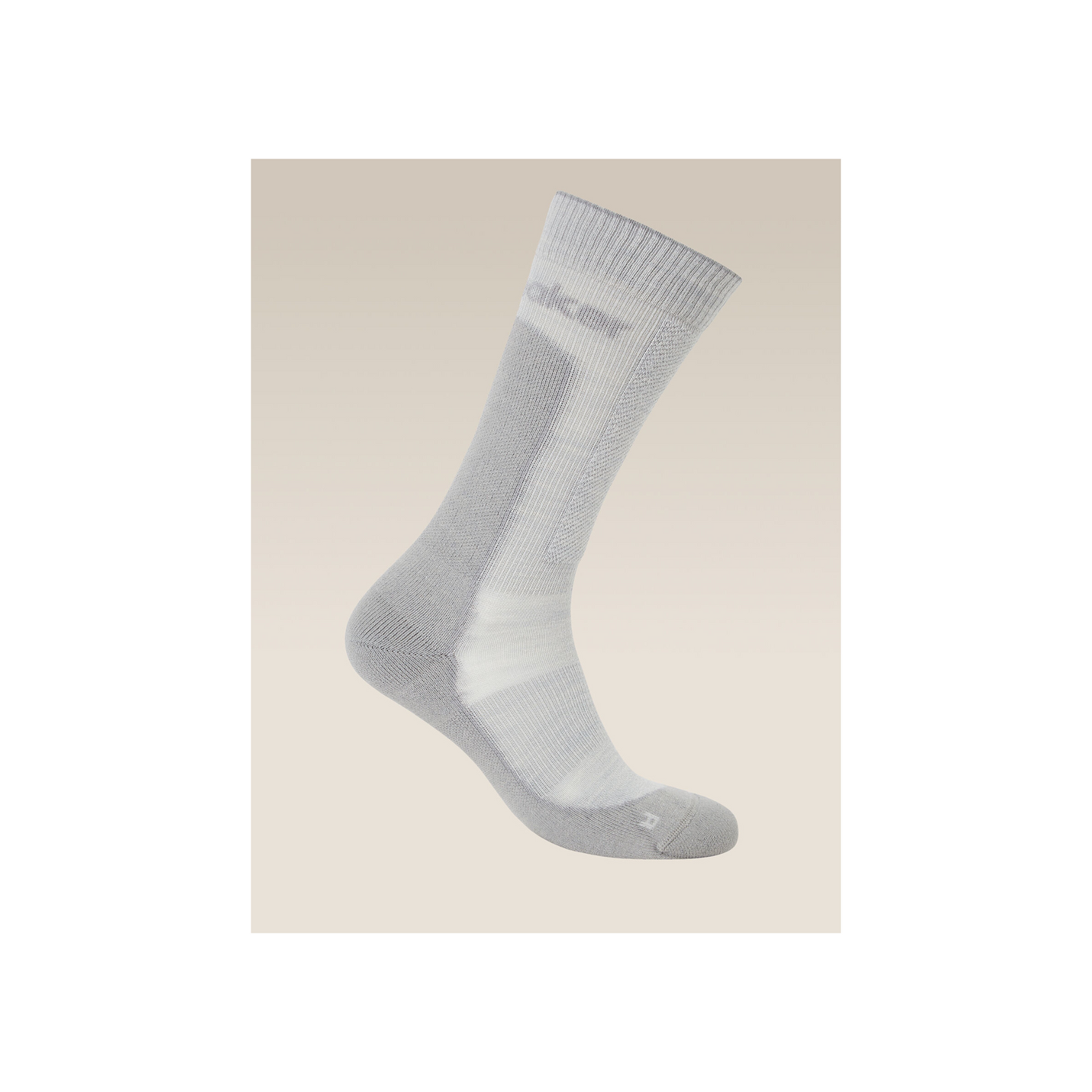 Icebreaker Hike+ Medium Cushion Crew Merino Socks - Men's