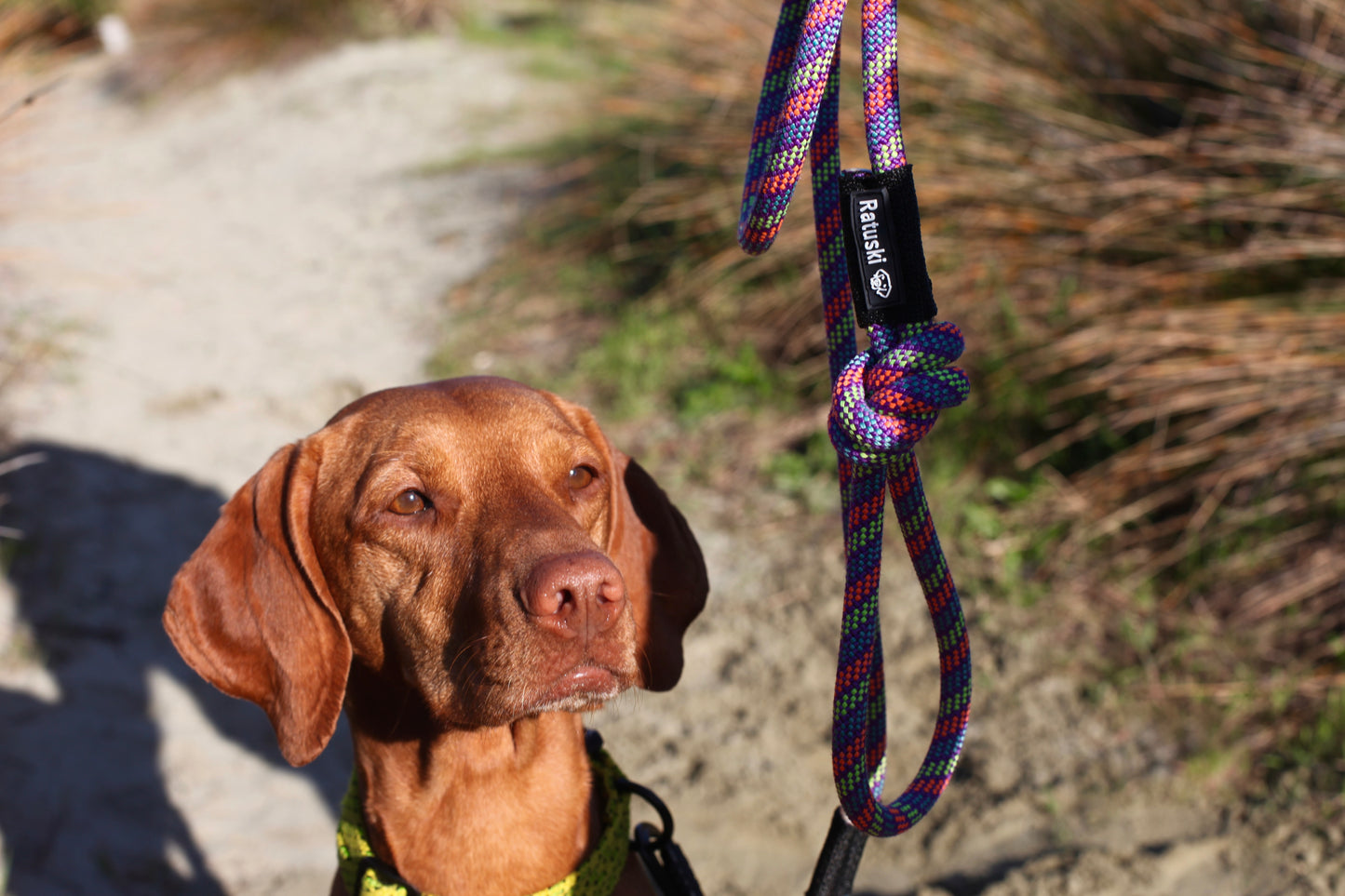 Ratuski Recycled Dog Leads