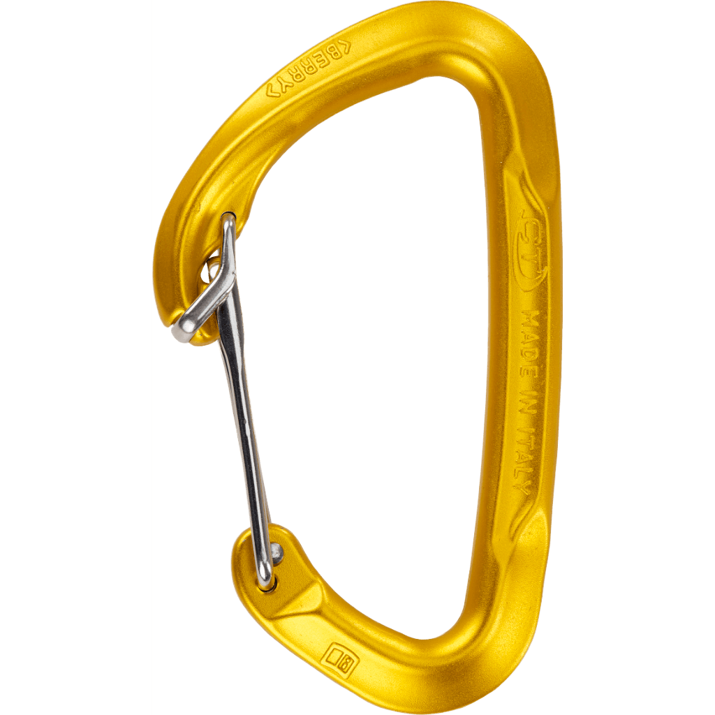 CT Berry Wire Gate Carabiner
