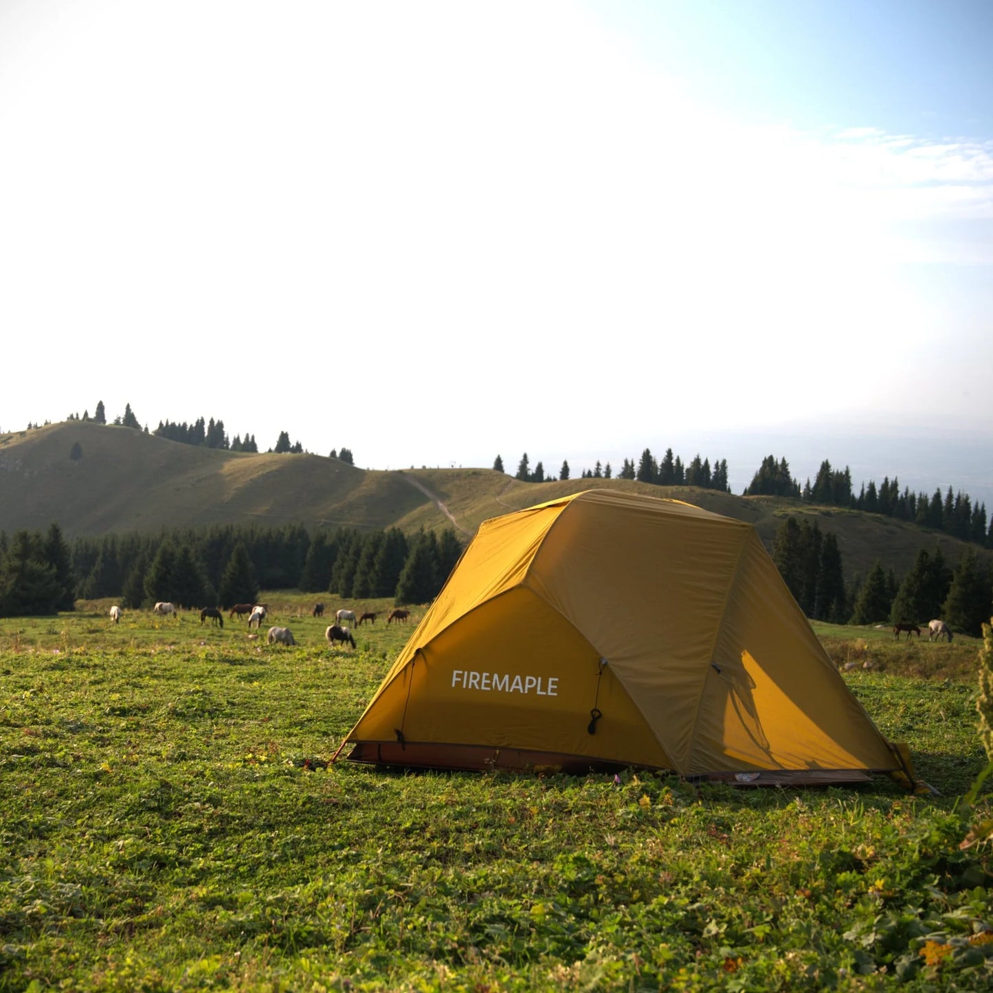Firemaple Tropics 2 Person 3 Season Tent