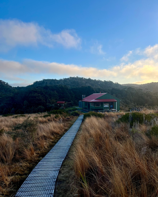 Hike or Bike to Saxon Hut, Heaphy Track