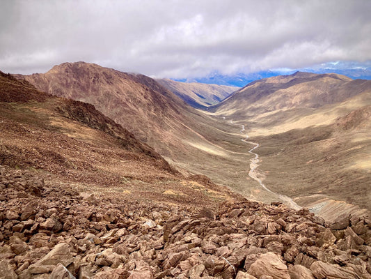 Hike to Maungakura / Red Hill, Mount Richmond Forest Park