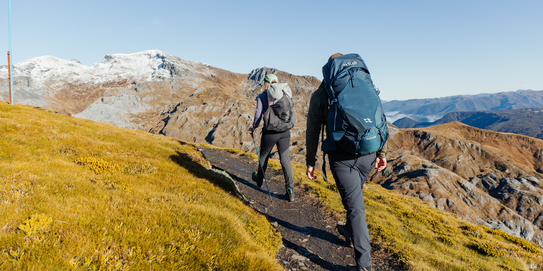 5 best hikes from Flora Car Park, Kahurangi National Park