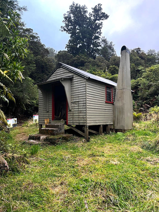 Hike to Greys Hut, Kahurangi National Park
