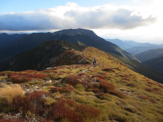 Hike to Lake Chalice, Mount Richmond Forest Park