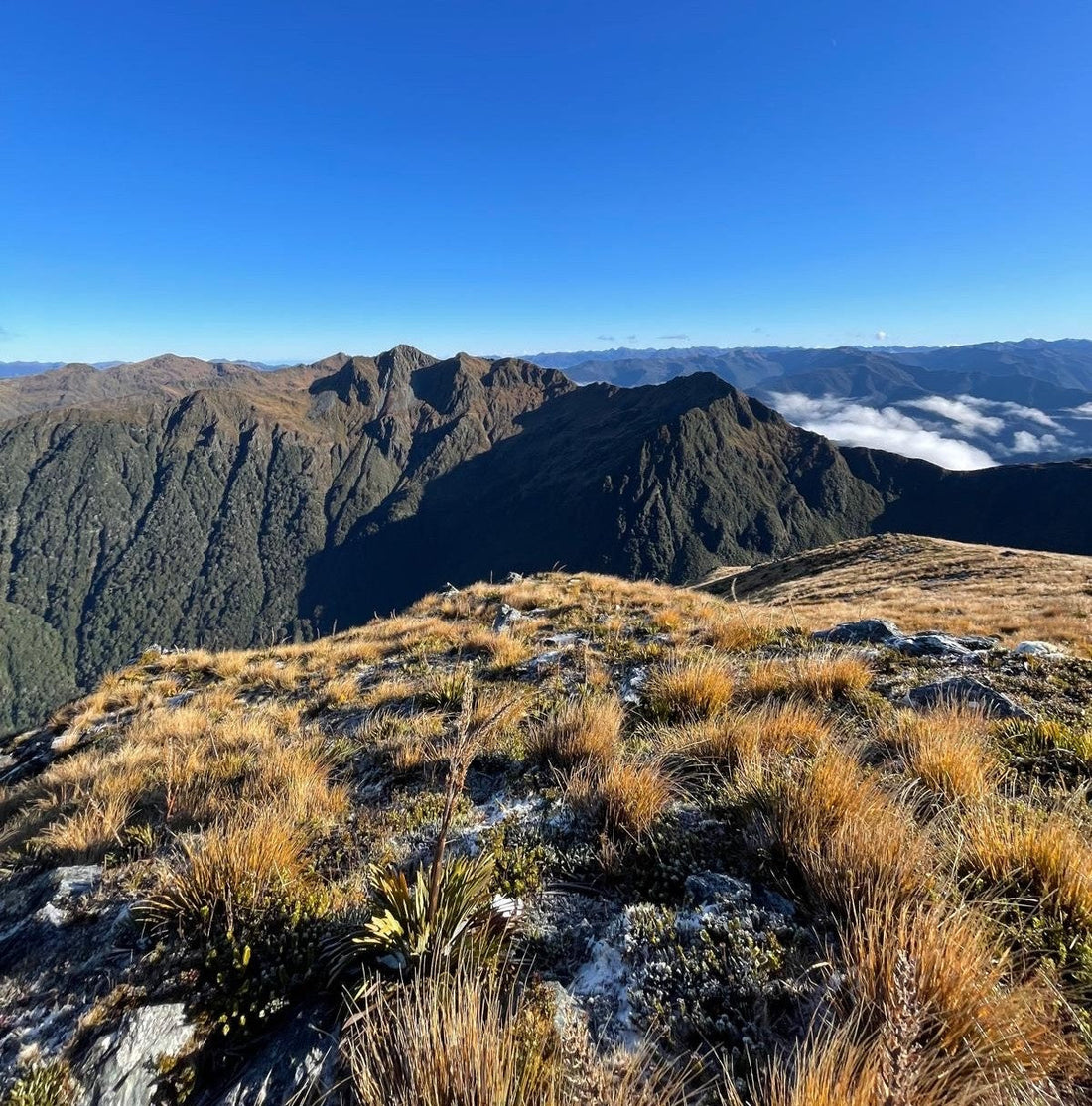 Hike up Loveridge Peak, Kahurangi National Park
