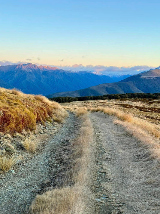 Hike up to Beeby's Knob in the Nelson Lakes National Park, New Zealand