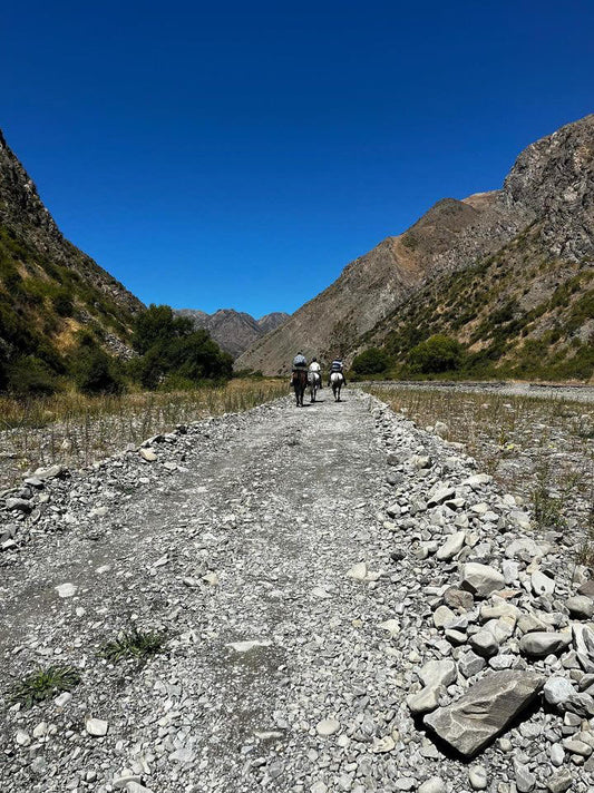 Hike through Blind Saddle in the Kaikoura Ranges