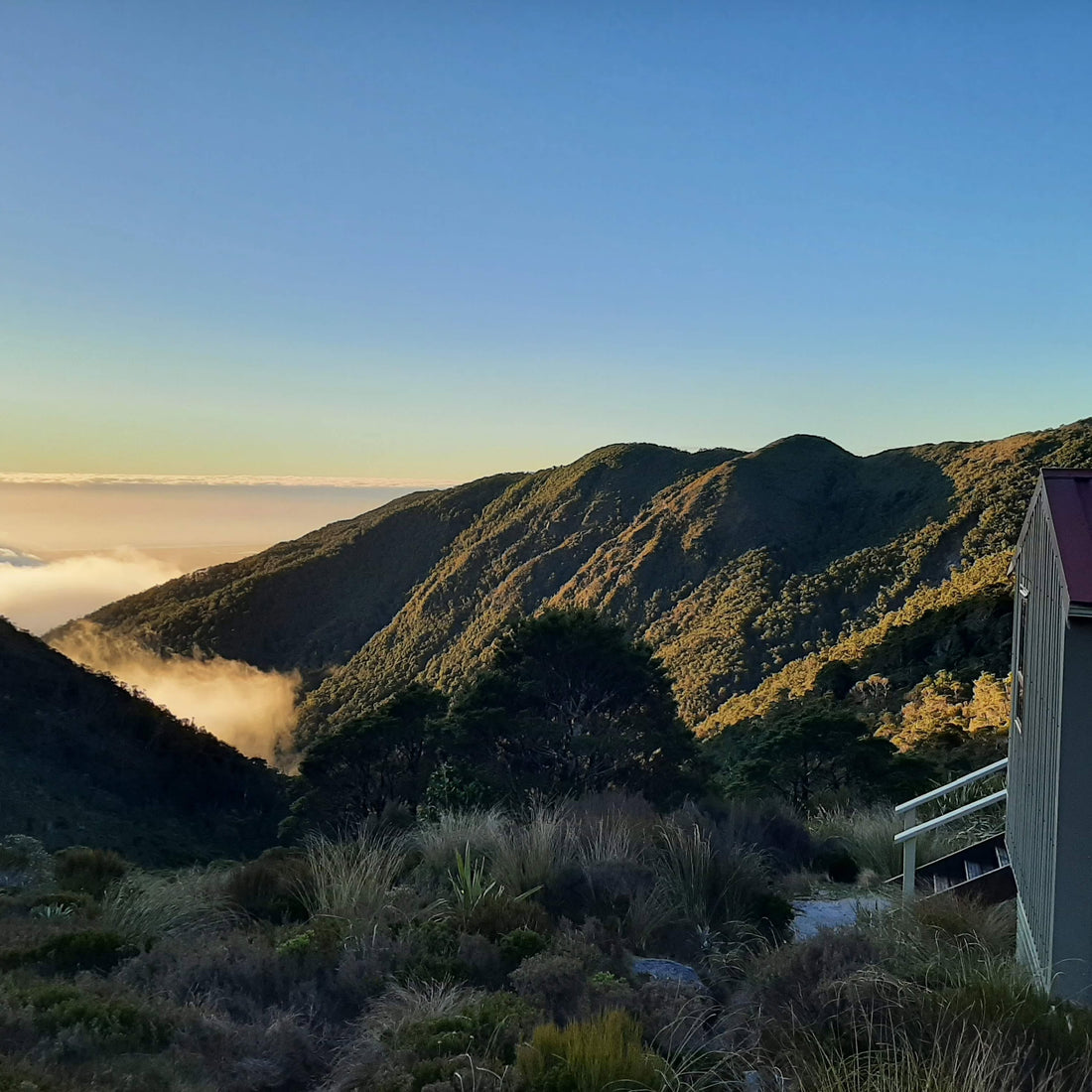Hike Up Bucklands Peak, Paparoa National Park