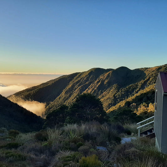 Hike Up Bucklands Peak, Paparoa National Park