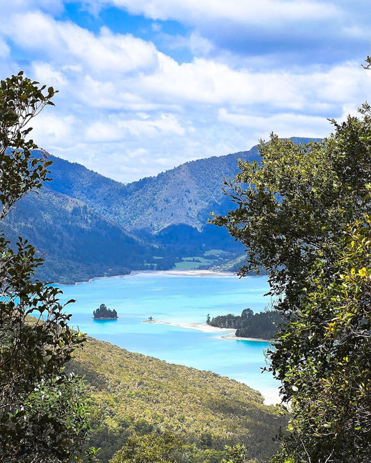 Walk from Duncans bay to Nydia's bay along the Nydia track in the Marlborough Sounds