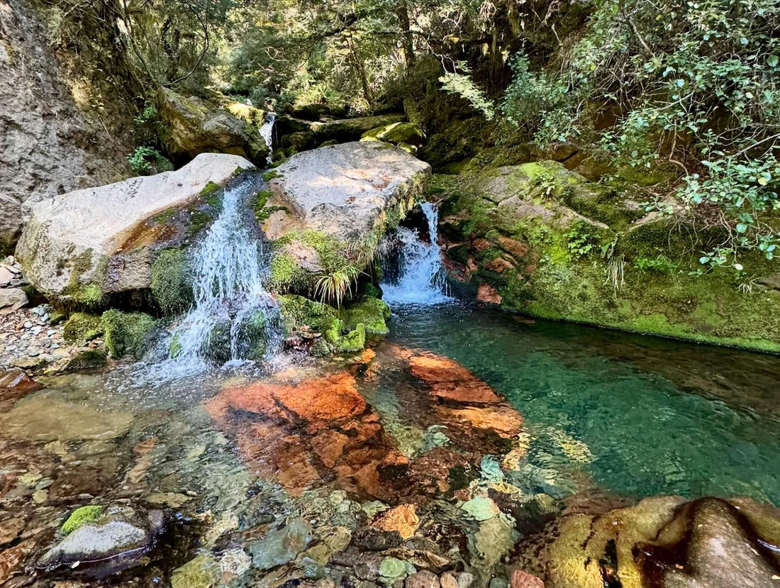 Walk up to Upper and Lower Gridiron Rock Shelters in the Kahurangi National Park