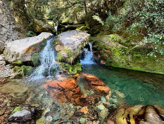Walk up to Upper and Lower Gridiron Rock Shelters in the Kahurangi National Park
