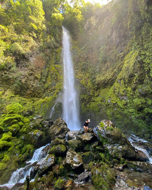 Hike to Whiskey Falls, Nelson Lakes National Park