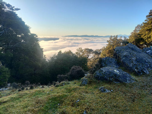 View above the clouds at Fosters Hut in the Richmond Ranges