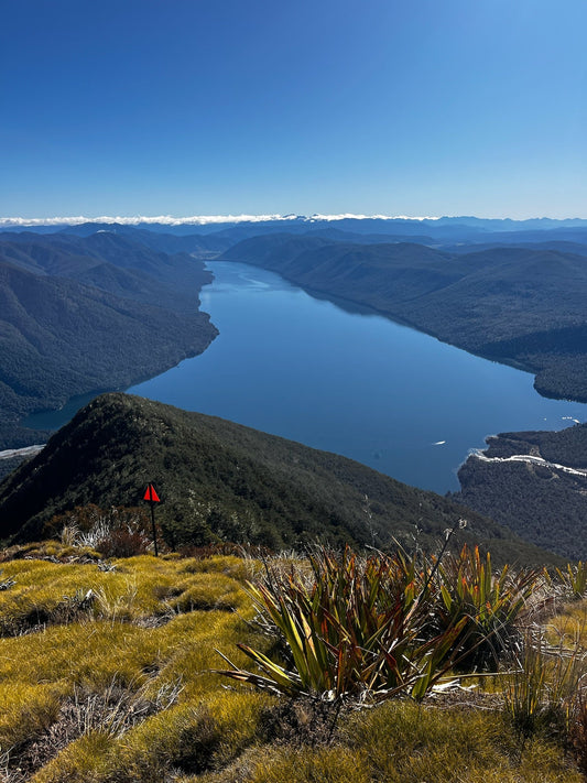 Hike up Mt Misery, Nelson Lakes National Park