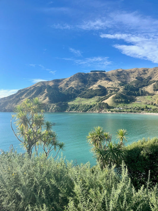 Hike the Cable Bay Walkway, Nelson/Tasman