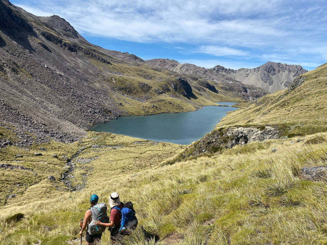 Hike to Hopeless Hut, Nelson Lakes National Park