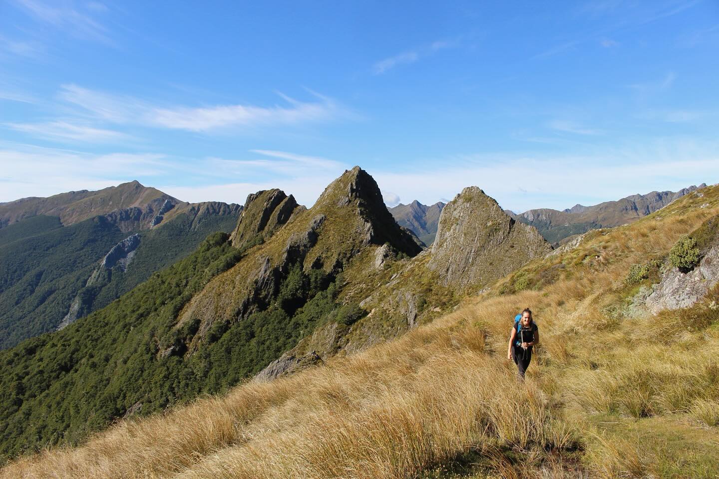 Hike the Kakapo Ridge, Kahurangi National Park – MD Outdoors