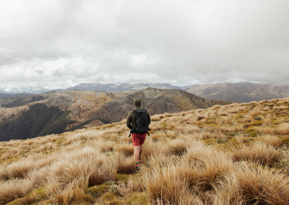 Hike to Gordon's Knob, Mount Richmond Forest Park