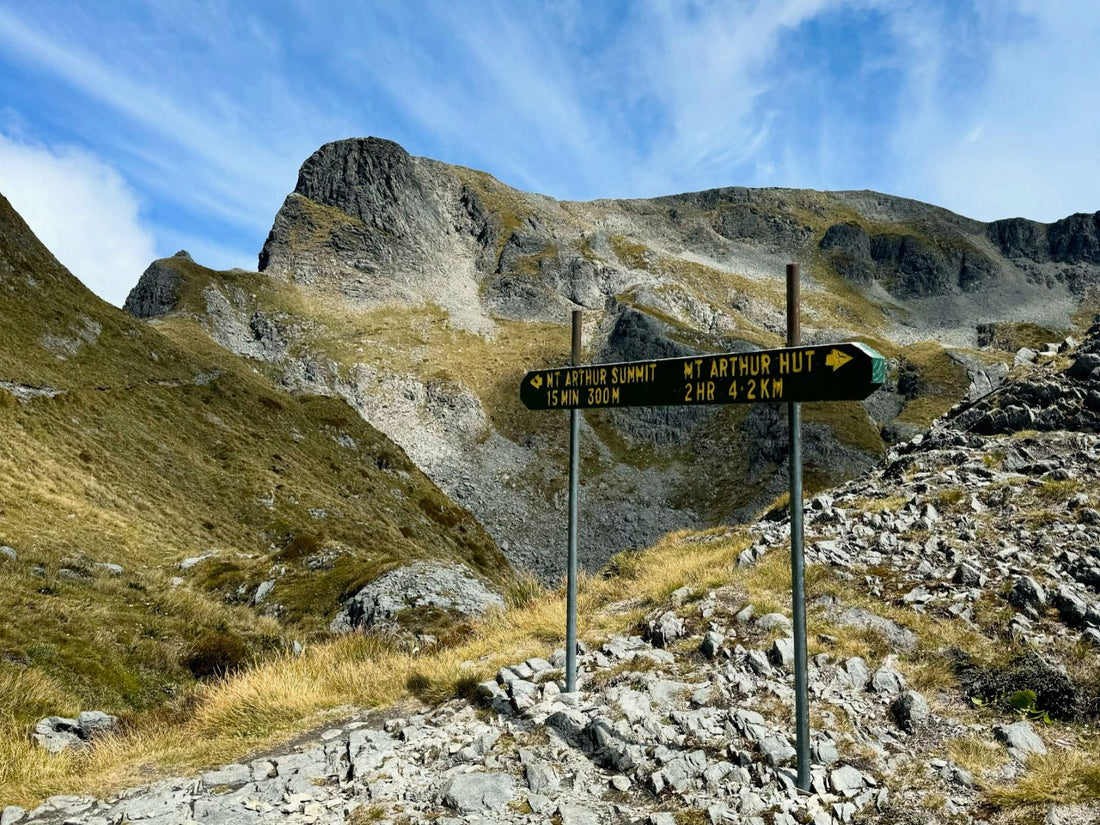 Hike Up Mt Arthur in the Kahurangi National Park