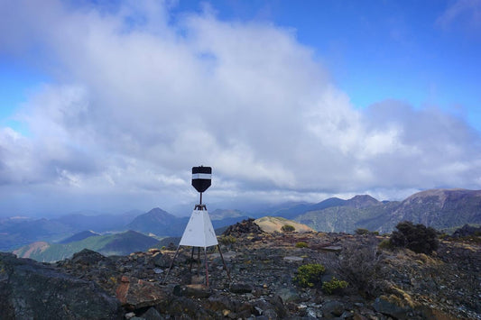 Hike Up Mt Campbell, Kahurangi National Park
