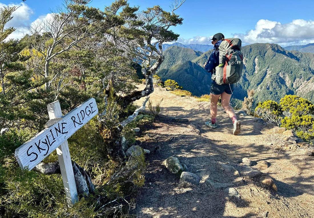 Hike the Old Ghost Road in the Kahurangi National Park