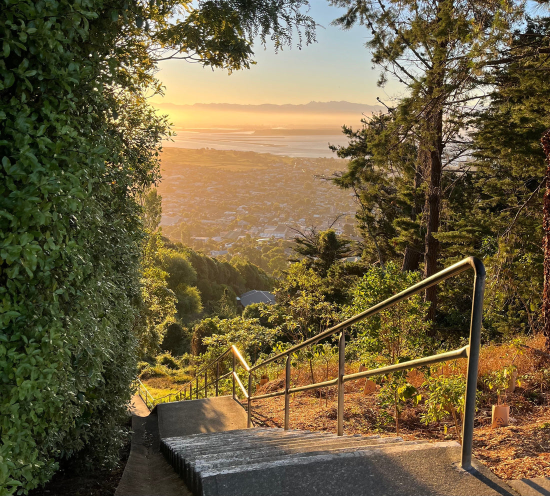 Walk the Tamaki Steps, Tahunanui