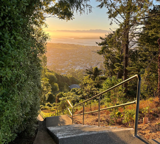 Walk the Tamaki Steps, Tahunanui