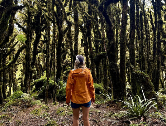 Hike the Kapakapanui Track, Tararua Forest Park