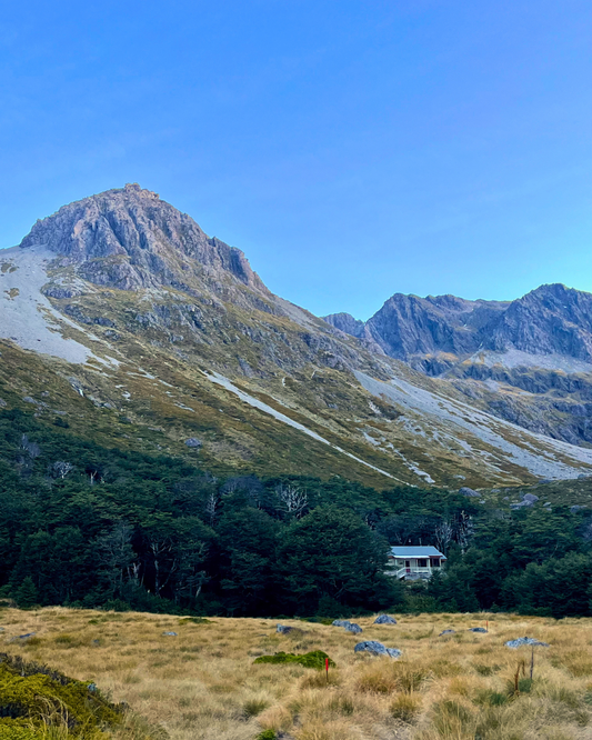 Hike to Upper Travers Hut, Nelson Lakes National Park