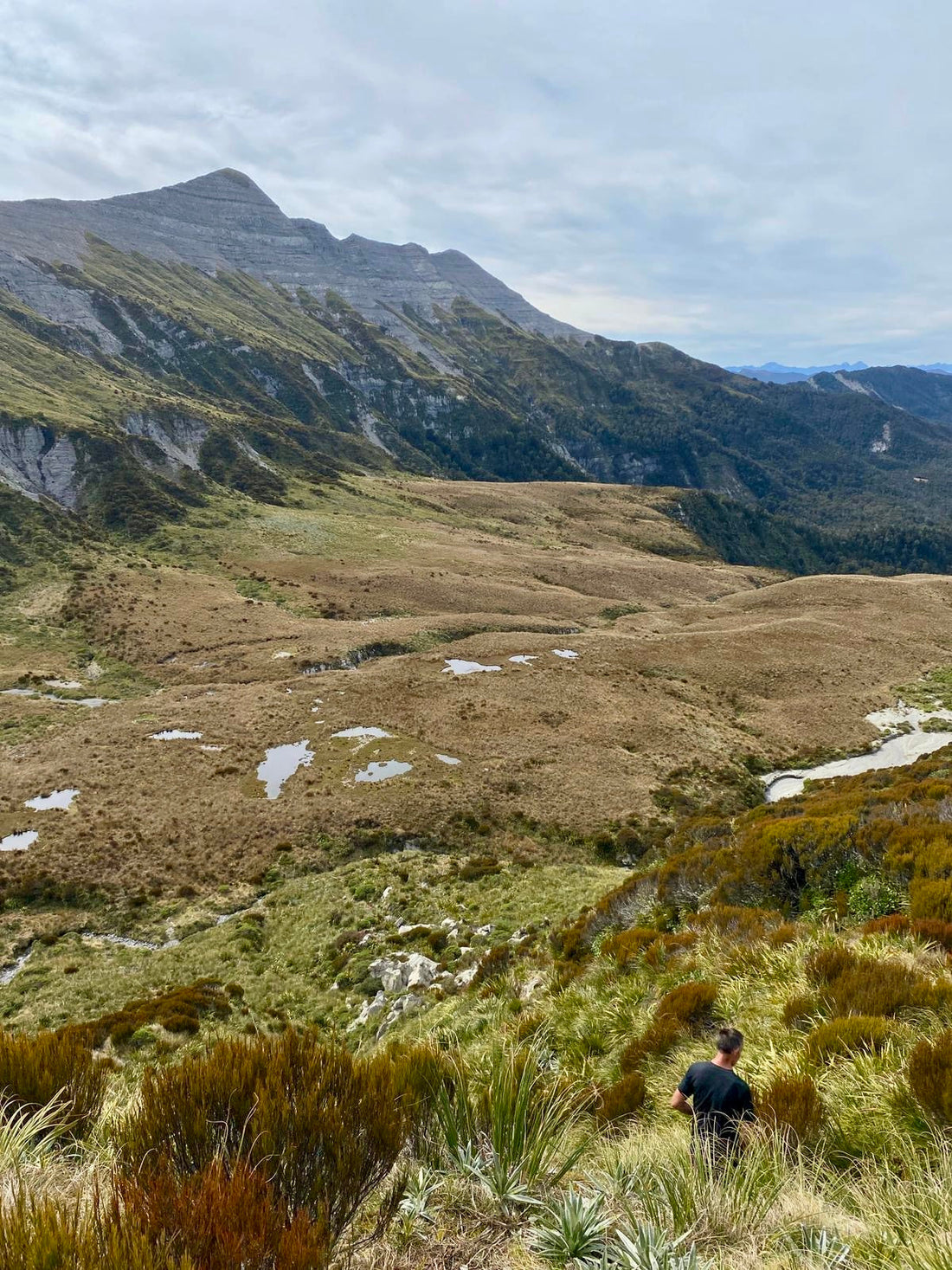 Hike to Poor Pete's Hut, Thousand Acre Plateau