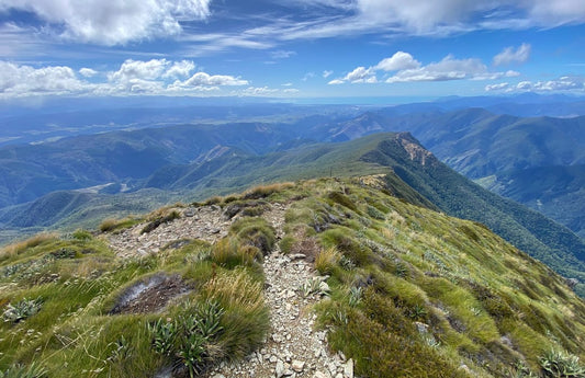 Hike up Mt Duppa, Mount Richmond Forest Park