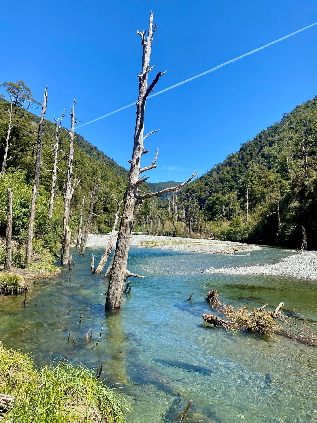 Hike to Kings Creek Hut, Kahurangi National Park