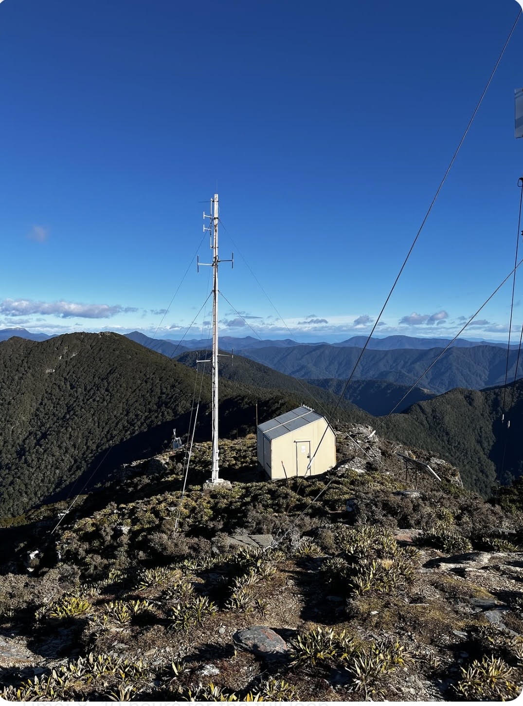 Mt Sunday & Mt Riley Loop, Mount Richmond Forest Park