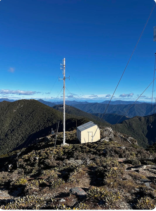 Mt Sunday & Mt Riley Loop, Mount Richmond Forest Park