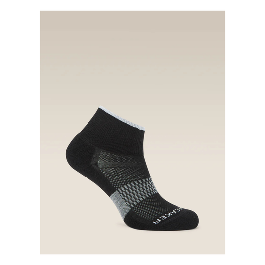 Icebreaker Merino Blend Multisport Socks