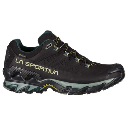 Ultra Raptor II Leather GTX