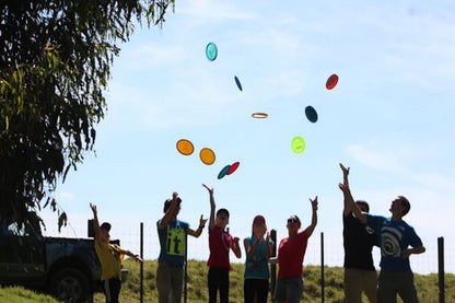Disc Golf - Disc Hire
