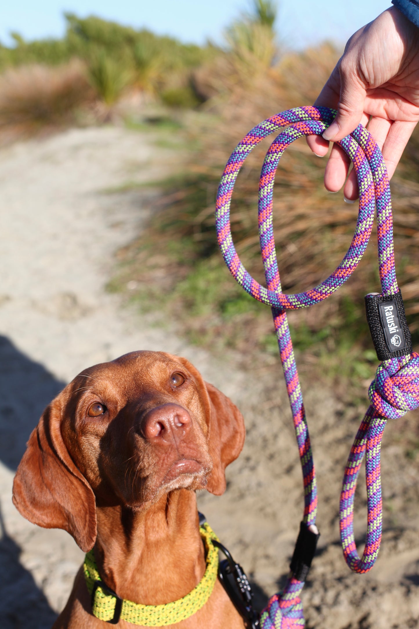 Ratuski Recycled Dog Leads