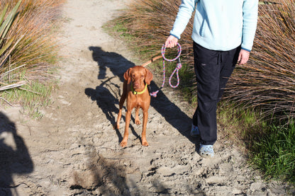 Ratuski Recycled Dog Leads