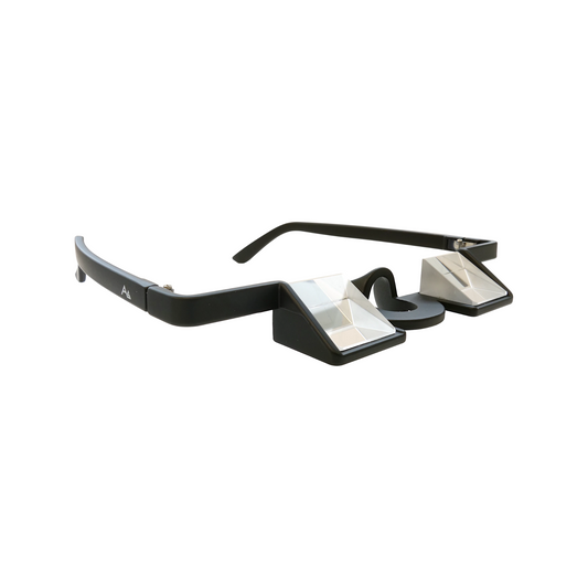 Aspiring Vertical Belay Glasses
