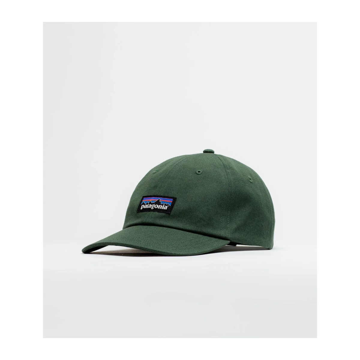 Patagonia P-6 Label Trad Cap