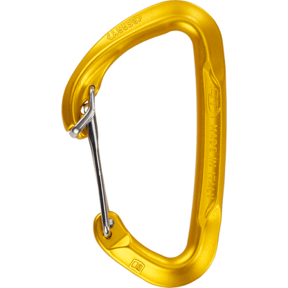 CT Berry Wire Gate Carabiner