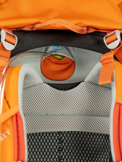 Osprey Ace 50 Kid's Backpack