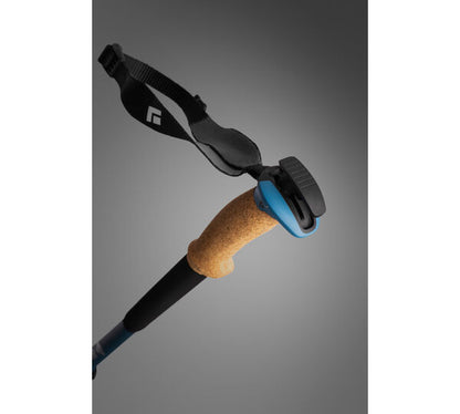 Black Diamond Alpine Carbon Cork WR Trekking Pole