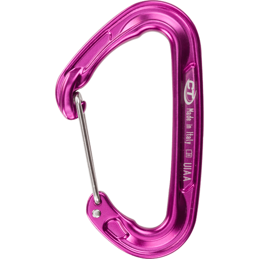 CT Flyweight Evo Carabiner